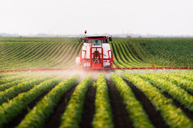 Farming