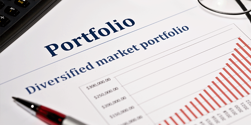 Diverse Portfolio